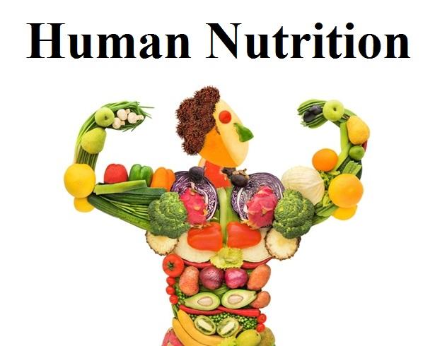 Nutrition  