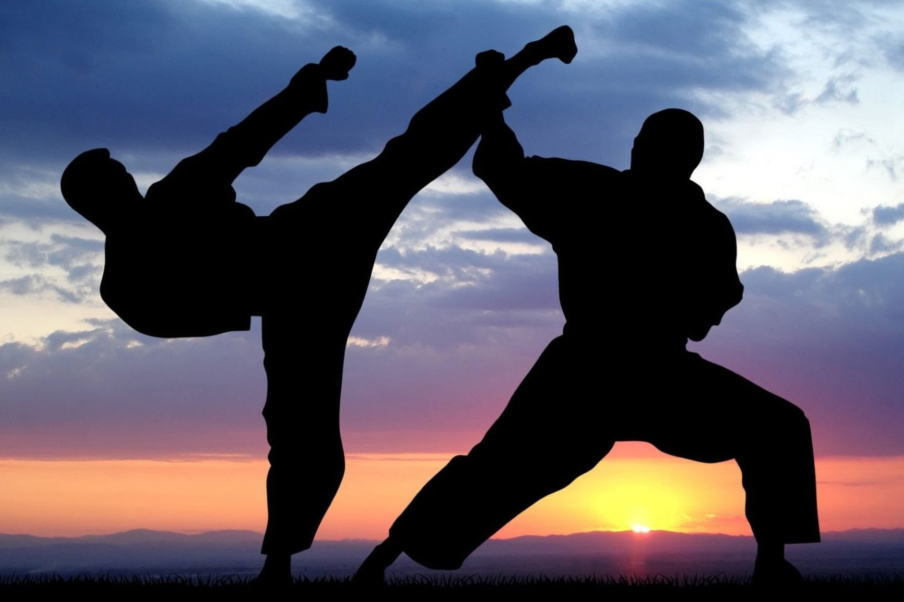 Martial Arts