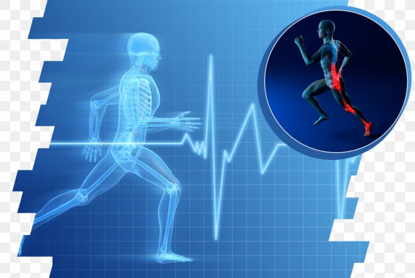 Physiology of effort